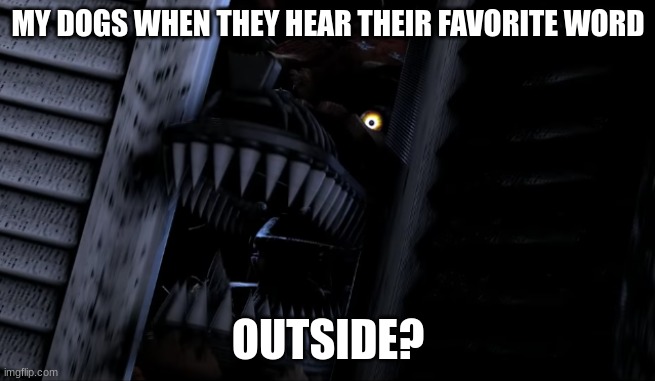 nightmare foxy be like | MY DOGS WHEN THEY HEAR THEIR FAVORITE WORD; OUTSIDE? | made w/ Imgflip meme maker