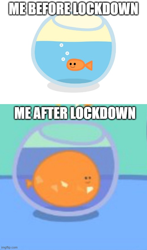 ME BEFORE LOCKDOWN; ME AFTER LOCKDOWN | made w/ Imgflip meme maker