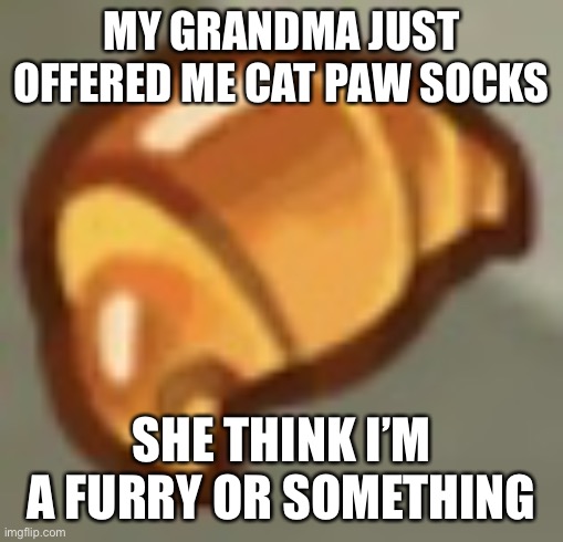 cros ant | MY GRANDMA JUST OFFERED ME CAT PAW SOCKS; SHE THINK I’M A FURRY OR SOMETHING | image tagged in cros ant | made w/ Imgflip meme maker