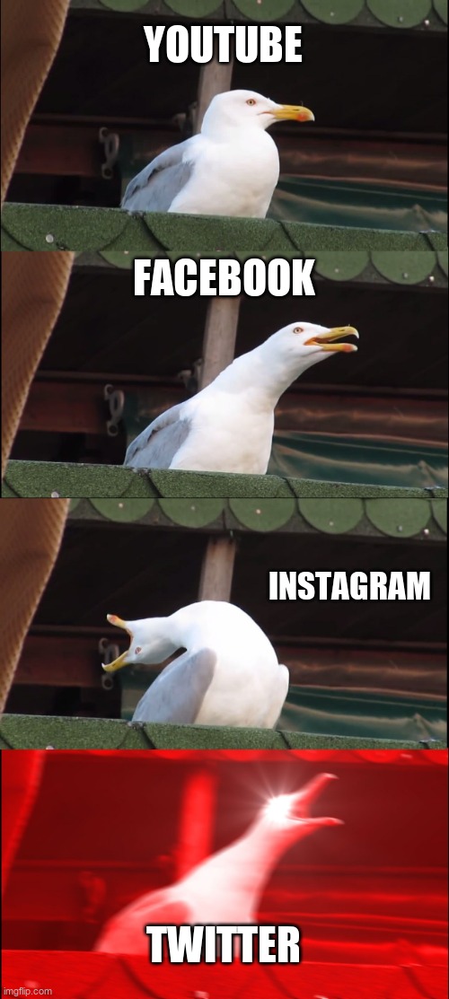 Inhaling Seagull | YOUTUBE; FACEBOOK; INSTAGRAM; TWITTER | image tagged in memes,inhaling seagull | made w/ Imgflip meme maker