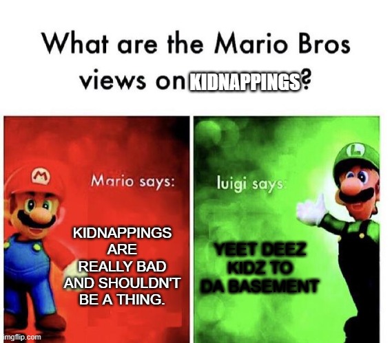 wth luigi | KIDNAPPINGS; KIDNAPPINGS ARE REALLY BAD AND SHOULDN'T BE A THING. YEET DEEZ KIDZ TO DA BASEMENT | image tagged in mario bros views | made w/ Imgflip meme maker