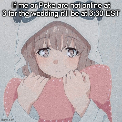 If me or Poke are not online at 3 for the wedding it'll be at 3:30 EST | made w/ Imgflip meme maker