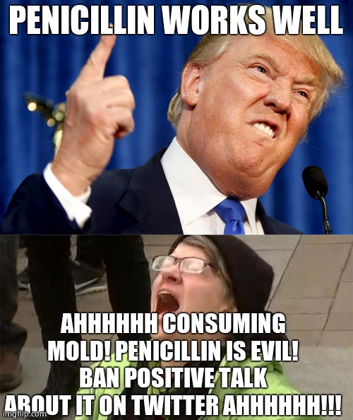 Stupid vaxxers shriek like banshees over CHEAP drugs that CAN help (See Japan/India) because the profiteers told them to. Stupid | PENICILLIN WORKS WELL; AHHHHHH CONSUMING MOLD! PENICILLIN IS EVIL! BAN POSITIVE TALK ABOUT IT ON TWITTER AHHHHHH!!! | image tagged in donald trump,crying liberal | made w/ Imgflip meme maker