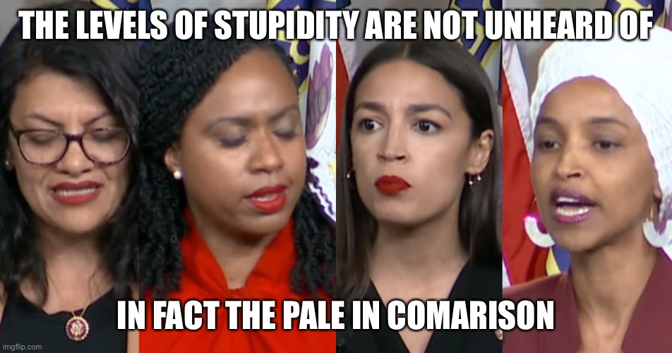AOC Squad | THE LEVELS OF STUPIDITY ARE NOT UNHEARD OF IN FACT THE PALE IN COMARISON | image tagged in aoc squad | made w/ Imgflip meme maker