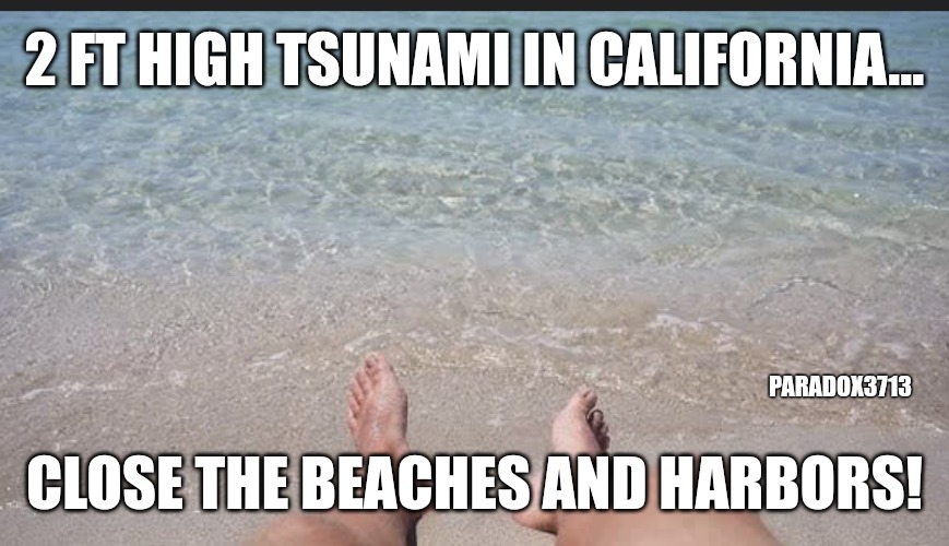We will Rebuild. | 2 FT HIGH TSUNAMI IN CALIFORNIA... PARADOX3713; CLOSE THE BEACHES AND HARBORS! | image tagged in memes,california,tsunami,panic,snowflakes,fail army | made w/ Imgflip meme maker