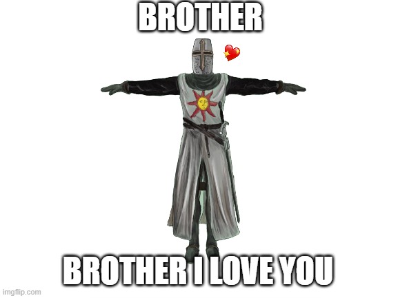 b r o t h e r | BROTHER; BROTHER I LOVE YOU | image tagged in mom said its my turn for the holy sword,wholesome | made w/ Imgflip meme maker