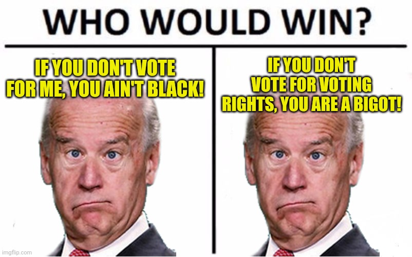 Who would win? | IF YOU DON'T VOTE FOR ME, YOU AIN'T BLACK! IF YOU DON'T VOTE FOR VOTING RIGHTS, YOU ARE A BIGOT! | image tagged in memes,who would win | made w/ Imgflip meme maker