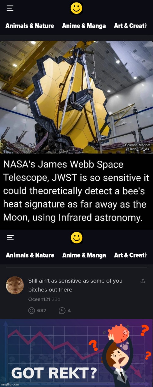image tagged in rekt'm,james webb telescope,sensatives bitches | made w/ Imgflip meme maker