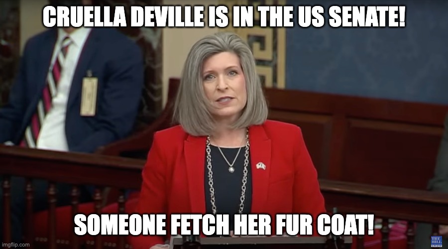 Senator Cruella Deville | CRUELLA DEVILLE IS IN THE US SENATE! SOMEONE FETCH HER FUR COAT! | image tagged in funny memes | made w/ Imgflip meme maker