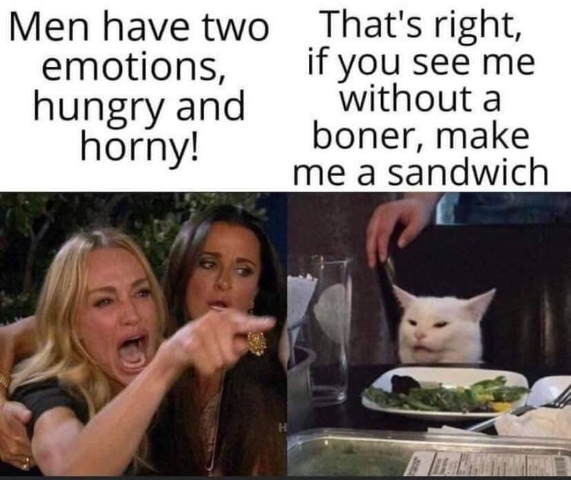 Men have 2 emotions, hungry and horny! | image tagged in make me a sandwich,woman yelling at cat,smudge the cat,bitch please,bitches be like,we ride at dawn bitches | made w/ Imgflip meme maker