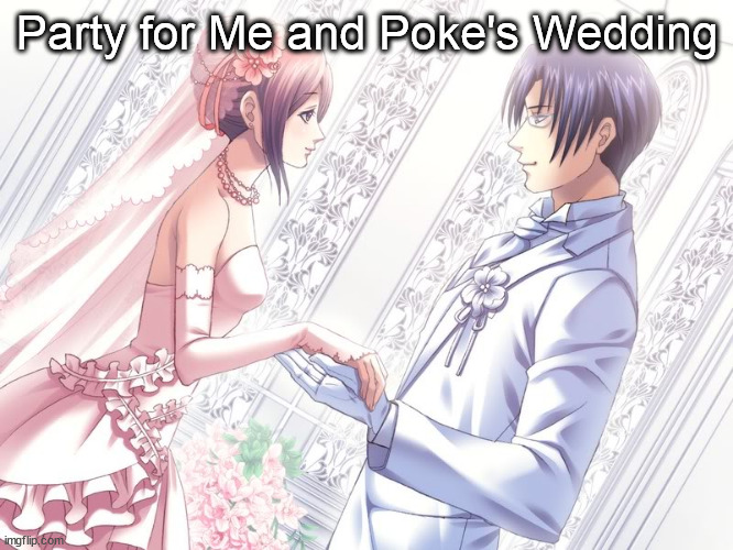 Party for Me and Poke's Wedding | made w/ Imgflip meme maker