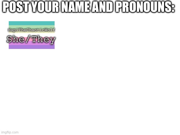 She/They | POST YOUR NAME AND PRONOUNS:; HapiTheChaoticWolf; She/They | image tagged in blank white template | made w/ Imgflip meme maker