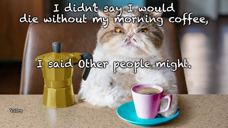 Coffee cat | I didn’t say I would die without my morning coffee, I said Other people might. Yates | image tagged in coffee cat,cat angry | made w/ Imgflip meme maker