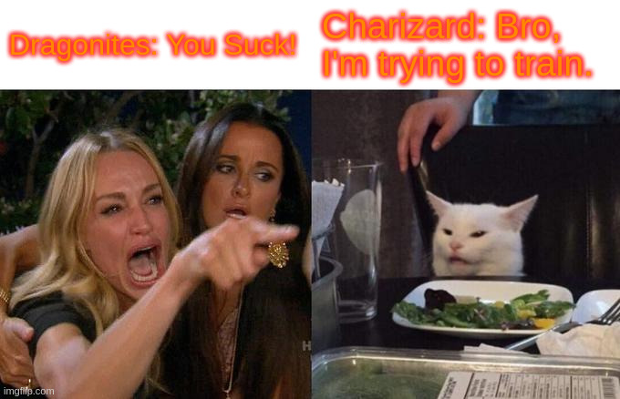Stupid Dragonites | Dragonites: You Suck! Charizard: Bro, I'm trying to train. | image tagged in memes,woman yelling at cat | made w/ Imgflip meme maker
