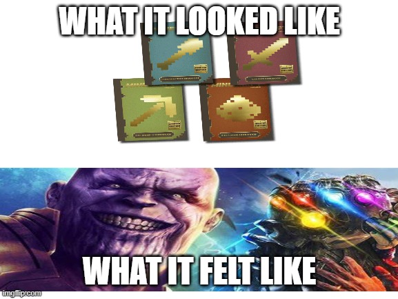 minecraft and thanos meme |  WHAT IT LOOKED LIKE; WHAT IT FELT LIKE | image tagged in blank white template,minecraft,marvel,thanos,thanos infinity stones | made w/ Imgflip meme maker