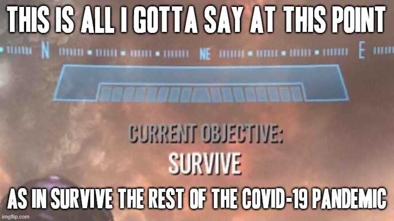 Alls I'm sayin is the only thing we can do is survive the rest of this | THIS IS ALL I GOTTA SAY AT THIS POINT; AS IN SURVIVE THE REST OF THE COVID-19 PANDEMIC | image tagged in current objective survive,memes,covid-19,pandemic,survive,coronavirus meme | made w/ Imgflip meme maker
