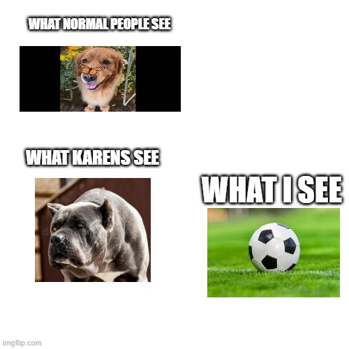 Blank Transparent Square |  WHAT NORMAL PEOPLE SEE; WHAT KARENS SEE; WHAT I SEE | image tagged in memes,blank transparent square | made w/ Imgflip meme maker