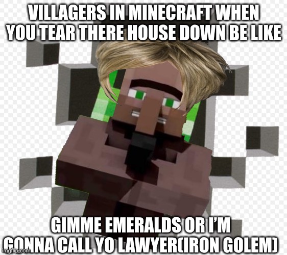 VILLAGERS IN MINECRAFT WHEN YOU TEAR THERE HOUSE DOWN BE LIKE; GIMME EMERALDS OR I’M GONNA CALL YO LAWYER(IRON GOLEM) | made w/ Imgflip meme maker