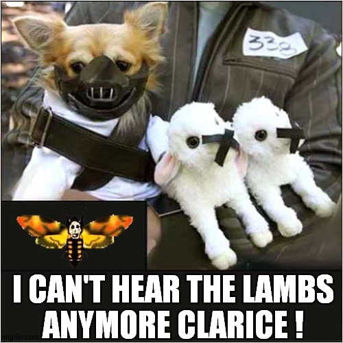 A Very Bad Dog Indeed ! | I CAN'T HEAR THE LAMBS
ANYMORE CLARICE ! | image tagged in dogs,costume,silence of the lambs | made w/ Imgflip meme maker