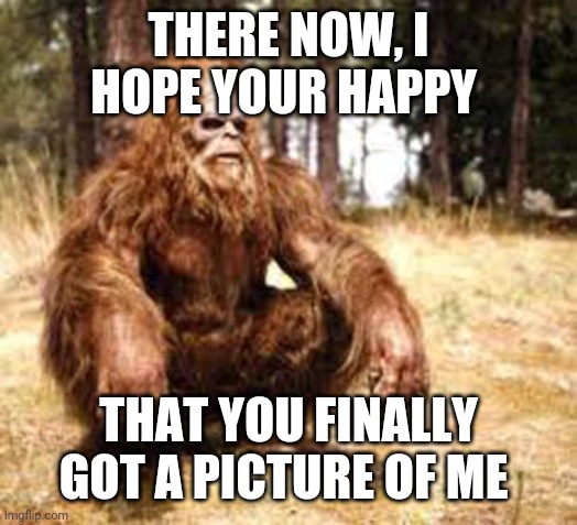 bigfoot |  THERE NOW, I HOPE YOUR HAPPY; THAT YOU FINALLY GOT A PICTURE OF ME | image tagged in bigfoot | made w/ Imgflip meme maker