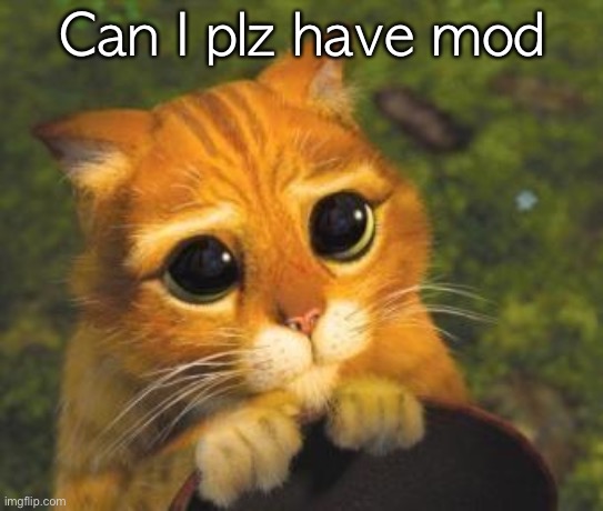cute cat from shrek | Can I plz have mod | image tagged in cute cat from shrek | made w/ Imgflip meme maker