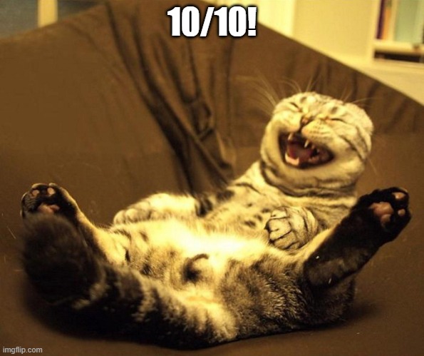 laughing cat | 10/10! | image tagged in laughing cat | made w/ Imgflip meme maker