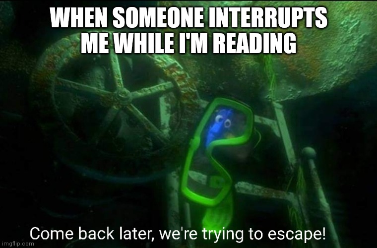 Dory escape | WHEN SOMEONE INTERRUPTS ME WHILE I'M READING | image tagged in escape,dory,come back later | made w/ Imgflip meme maker