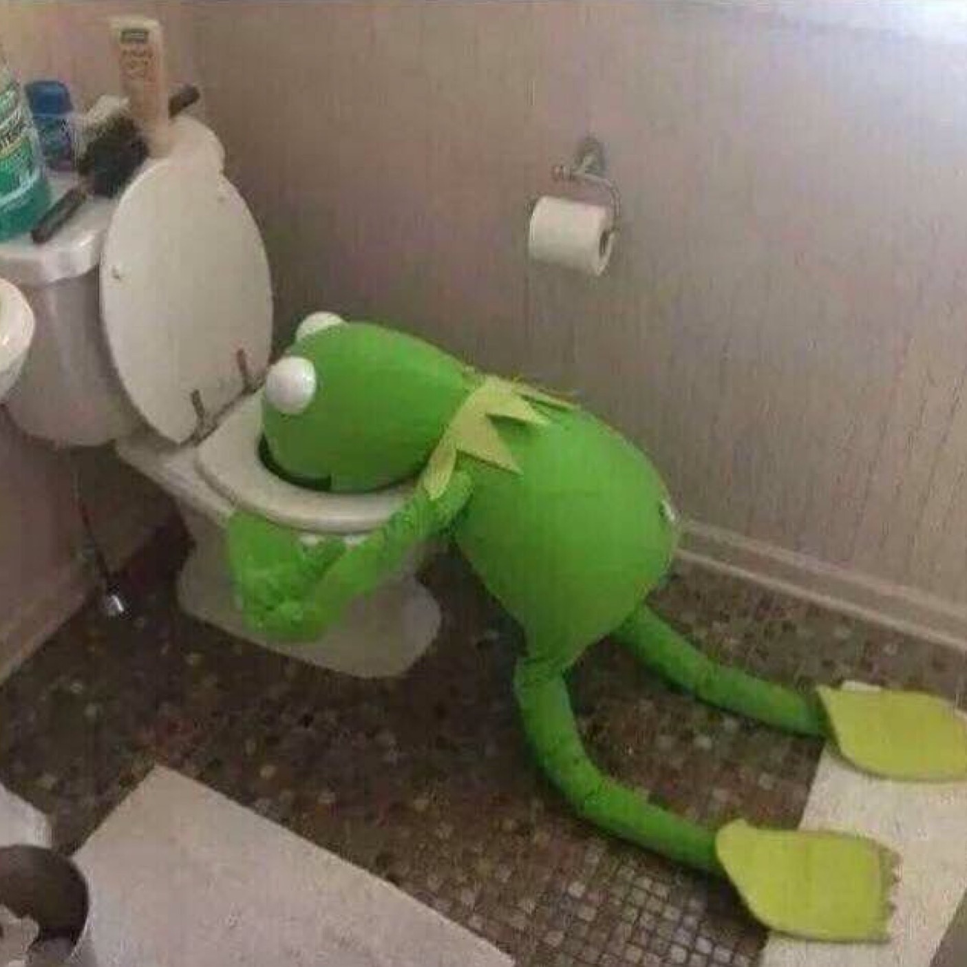 kermit the frog vomiting in toilet Blank Meme Template