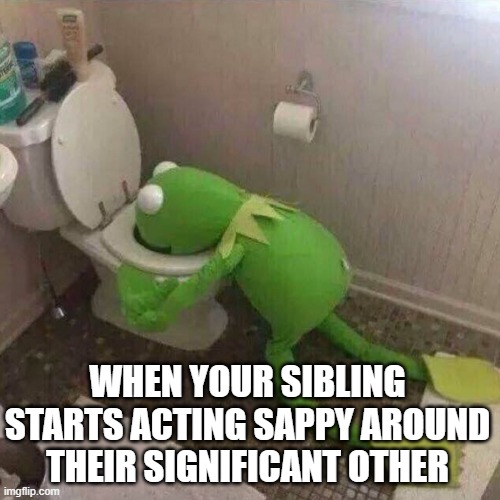 when your sibling is around their bf/gf | WHEN YOUR SIBLING STARTS ACTING SAPPY AROUND THEIR SIGNIFICANT OTHER | image tagged in kermit the frog vomiting in toilet | made w/ Imgflip meme maker
