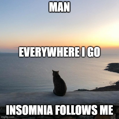 I just can't get rid of it | MAN; EVERYWHERE I GO; INSOMNIA FOLLOWS ME | image tagged in man | made w/ Imgflip meme maker