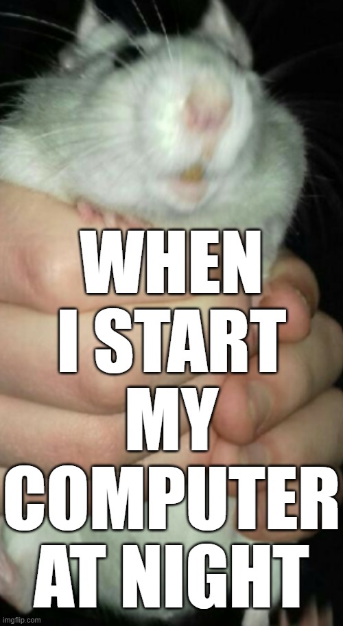 When I start my computer at night | WHEN I START MY COMPUTER AT NIGHT | image tagged in ratter | made w/ Imgflip meme maker