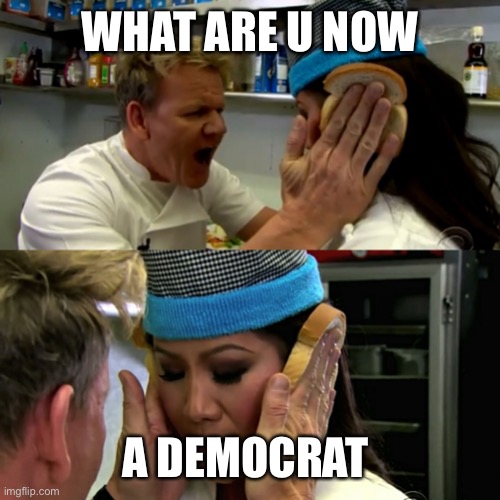 Gordon Ramsay Idiot Sandwich | WHAT ARE U NOW A DEMOCRAT | image tagged in gordon ramsay idiot sandwich | made w/ Imgflip meme maker