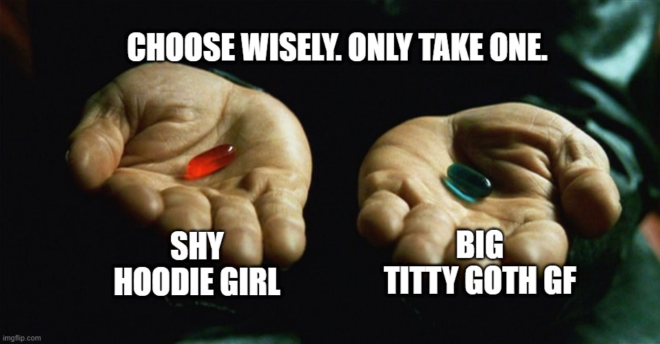 Which one will you choose? | CHOOSE WISELY. ONLY TAKE ONE. SHY HOODIE GIRL; BIG TITTY GOTH GF | image tagged in red pill blue pill | made w/ Imgflip meme maker