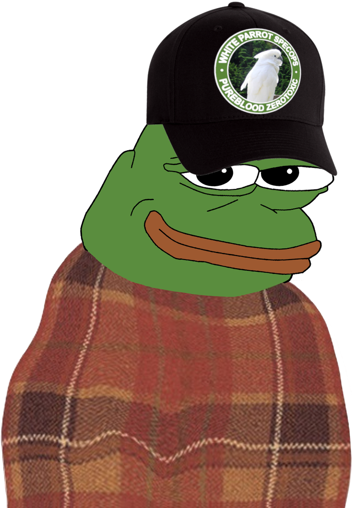 High Quality Pepe Comfy in White Parrot Black Hat Blank Meme Template