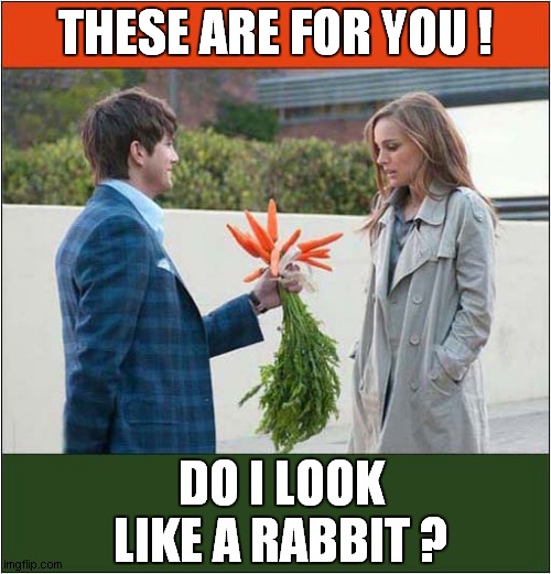 He May Have Got This One Very Wrong ! | THESE ARE FOR YOU ! DO I LOOK LIKE A RABBIT ? | image tagged in romance,carrots,rejection | made w/ Imgflip meme maker