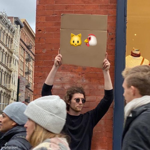 🐱🐔 | image tagged in memes,guy holding cardboard sign | made w/ Imgflip meme maker