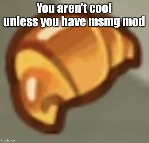 Lesson of the day | You aren’t cool unless you have msmg mod | image tagged in cros ant | made w/ Imgflip meme maker