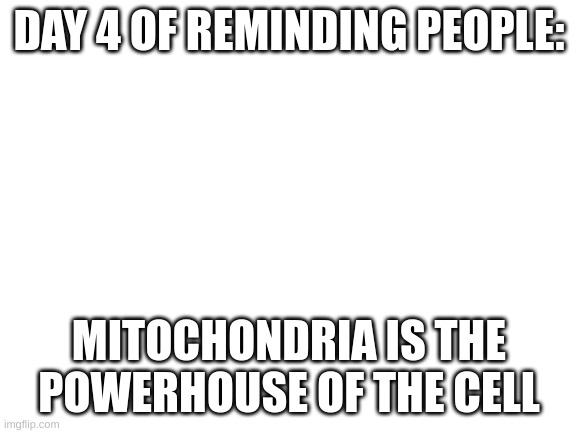 day 4 | DAY 4 OF REMINDING PEOPLE:; MITOCHONDRIA IS THE POWERHOUSE OF THE CELL | image tagged in blank white template | made w/ Imgflip meme maker