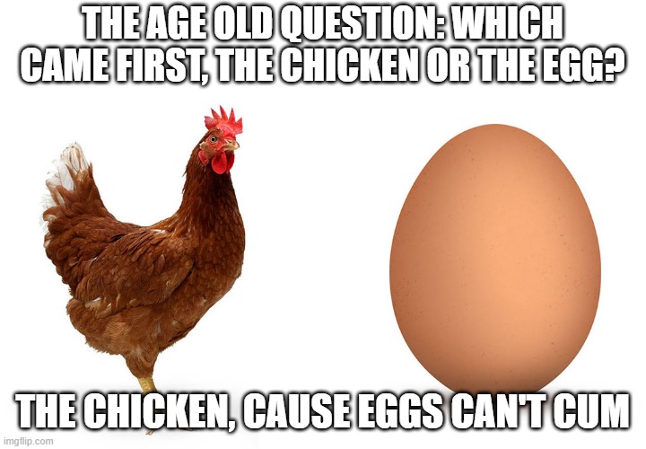 There is an Answer! | THE AGE OLD QUESTION: WHICH CAME FIRST, THE CHICKEN OR THE EGG? THE CHICKEN, CAUSE EGGS CAN'T CUM | image tagged in chicken and egg | made w/ Imgflip meme maker