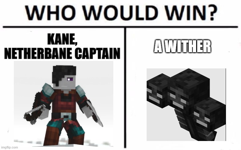 Who Would Win? Meme | KANE, NETHERBANE CAPTAIN; A WITHER | image tagged in memes,who would win | made w/ Imgflip meme maker