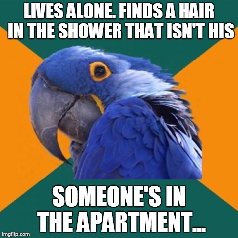 True Story. It's long and red. There's a ginger axe murderer hiding somewhere 'round here. | LIVES ALONE. FINDS A HAIR IN THE SHOWER THAT ISN'T HIS SOMEONE'S IN THE APARTMENT... | image tagged in memes,animals,paranoid parrot,fails,wtf | made w/ Imgflip meme maker