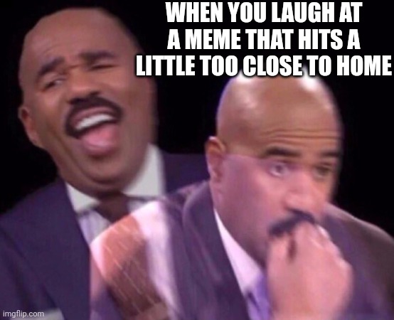 Steve Harvey Laughing Serious | WHEN YOU LAUGH AT A MEME THAT HITS A LITTLE TOO CLOSE TO HOME | image tagged in steve harvey laughing serious | made w/ Imgflip meme maker