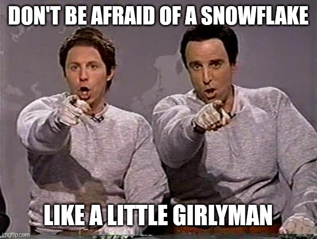 hanz and franz | DON'T BE AFRAID OF A SNOWFLAKE; LIKE A LITTLE GIRLYMAN | image tagged in hanz and franz | made w/ Imgflip meme maker