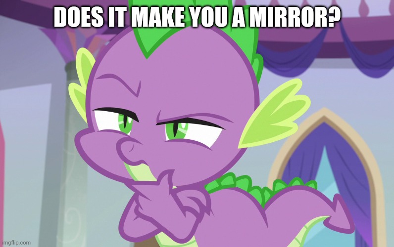 DOES IT MAKE YOU A MIRROR? | made w/ Imgflip meme maker