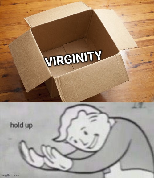 VIRGINITY | image tagged in empty box,fallout hold up | made w/ Imgflip meme maker