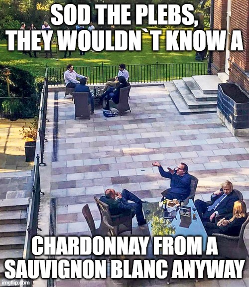 Tory Party at Downing Street | SOD THE PLEBS, THEY WOULDN`T KNOW A; CHARDONNAY FROM A SAUVIGNON BLANC ANYWAY | image tagged in tory party at downing street | made w/ Imgflip meme maker