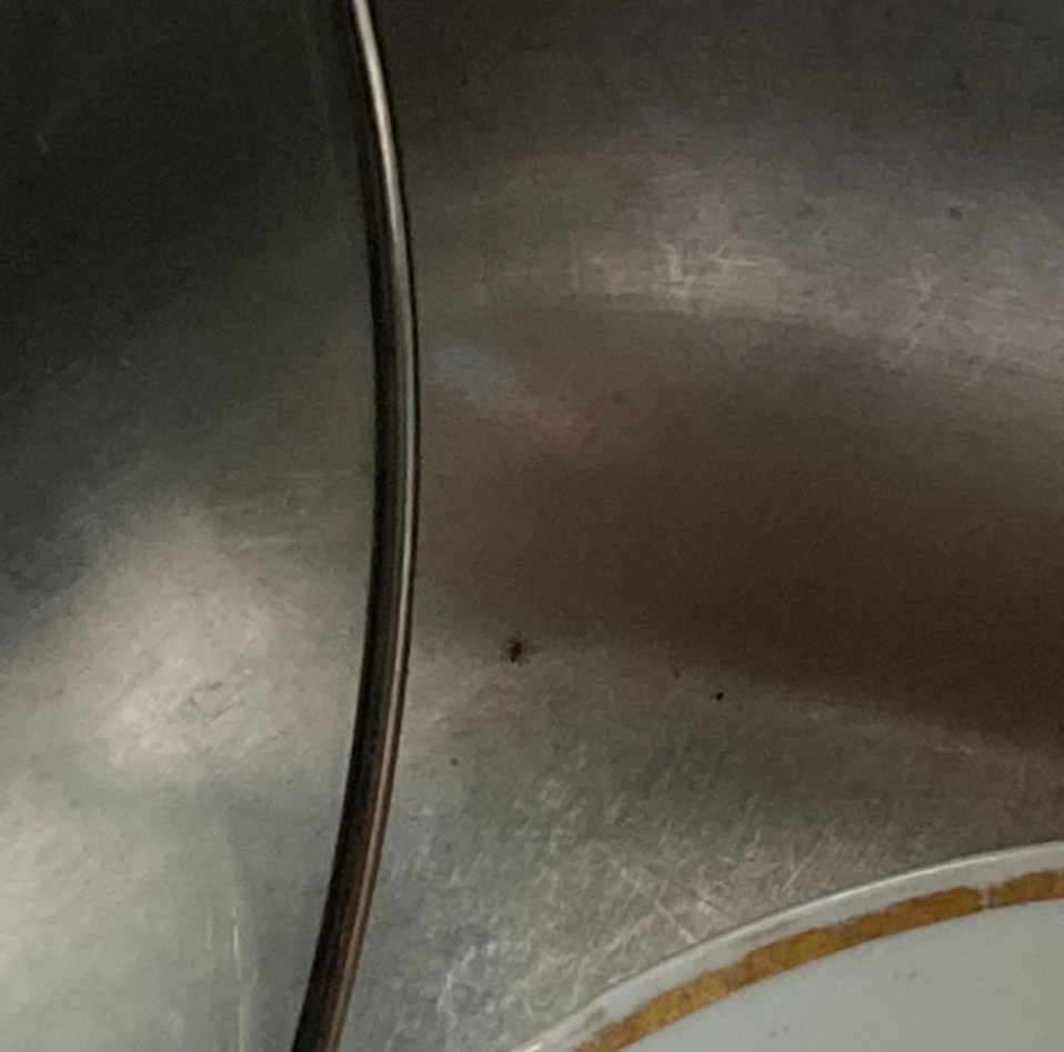 High Quality Spider in the Sink Blank Meme Template