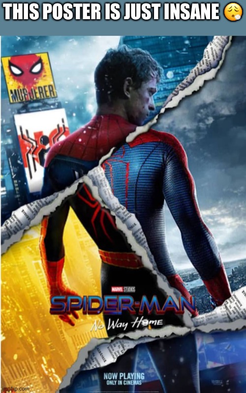Crazy tho |  THIS POSTER IS JUST INSANE 😮‍💨 | image tagged in spiderman,no way home | made w/ Imgflip meme maker