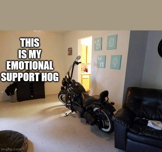 THIS IS MY EMOTIONAL SUPPORT HOG | made w/ Imgflip meme maker