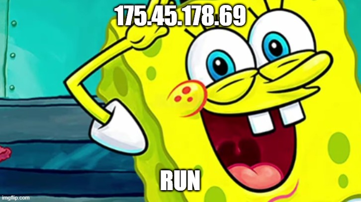 Spongebob IP Address | 175.45.178.69; RUN | image tagged in spongebob ip address | made w/ Imgflip meme maker
